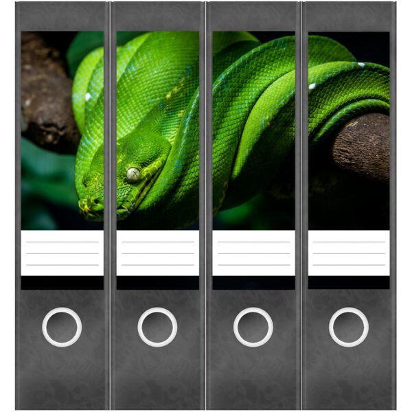 Etiketten für Ordner | Grüne Schlange | 4 breite Aufkleber für Ordnerrücken | Selbstklebende Design Ordneretiketten Rückenschilder