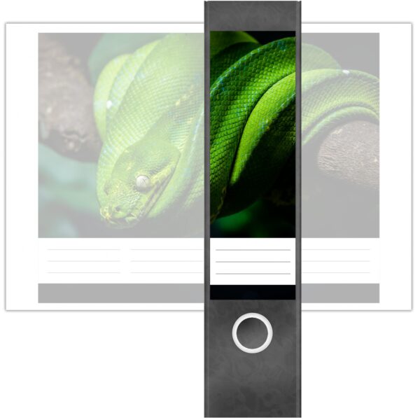 Etiketten für Ordner | Grüne Schlange | 4 breite Aufkleber für Ordnerrücken | Selbstklebende Design Ordneretiketten Rückenschilder