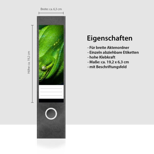 Etiketten für Ordner | Grüne Schlange | 4 breite Aufkleber für Ordnerrücken | Selbstklebende Design Ordneretiketten Rückenschilder
