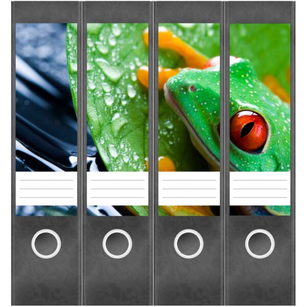 Etiketten für Ordner | Frosch | 4 breite Aufkleber für Ordnerrücken | Selbstklebende Design Ordneretiketten Rückenschilder