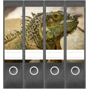 Etiketten für Ordner | Chamäleon 2 | 4 breite Aufkleber für Ordnerrücken | Selbstklebende Design Ordneretiketten Rückenschilder
