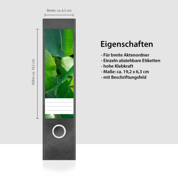 Etiketten für Ordner | Chamäleon 3 | 4 breite Aufkleber für Ordnerrücken | Selbstklebende Design Ordneretiketten Rückenschilder