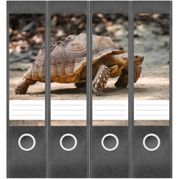 Etiketten für Ordner | Schildkröte | 4 breite Aufkleber für Ordnerrücken | Selbstklebende Design Ordneretiketten Rückenschilder