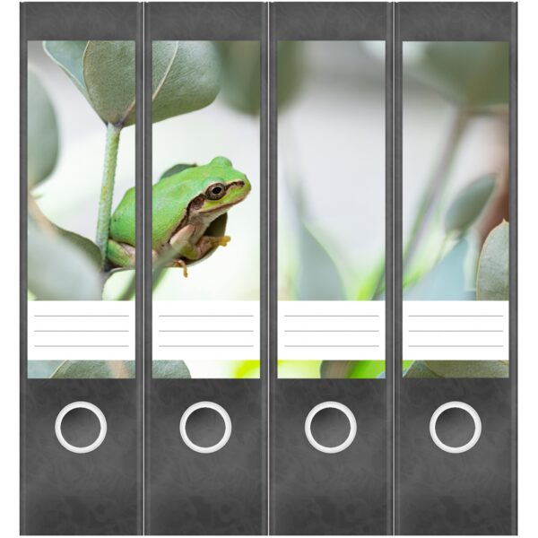 Etiketten für Ordner | Grüner Frosch | 4 breite Aufkleber für Ordnerrücken | Selbstklebende Design Ordneretiketten Rückenschilder