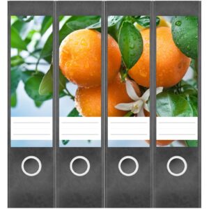 Etiketten für Ordner | Orangen Baum | 4 breite Aufkleber für Ordnerrücken | Selbstklebende Design Ordneretiketten Rückenschilder