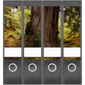 Etiketten für Ordner | Baum 1 | 4 breite Aufkleber für Ordnerrücken | Selbstklebende Design Ordneretiketten Rückenschilder