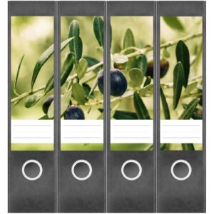 Etiketten für Ordner | Oliven Baum | 4 breite Aufkleber für Ordnerrücken | Selbstklebende Design Ordneretiketten Rückenschilder