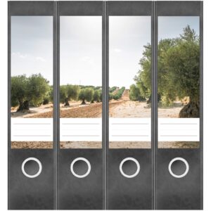 Etiketten für Ordner | Olivenplantage | 4 breite Aufkleber für Ordnerrücken | Selbstklebende Design Ordneretiketten Rückenschilder