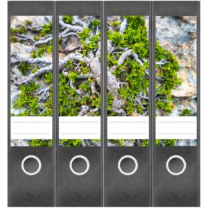 Etiketten für Ordner | Wurzel auf Stein | 4 breite Aufkleber für Ordnerrücken | Selbstklebende Design Ordneretiketten Rückenschilder