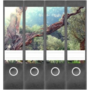 Etiketten für Ordner | Bäume Sonnenstrahlen | 4 breite Aufkleber für Ordnerrücken | Selbstklebende Design Ordneretiketten Rückenschilder