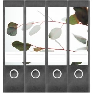 Etiketten für Ordner | Eucalyptus Blätter | 4 breite Aufkleber für Ordnerrücken | Selbstklebende Design Ordneretiketten Rückenschilder
