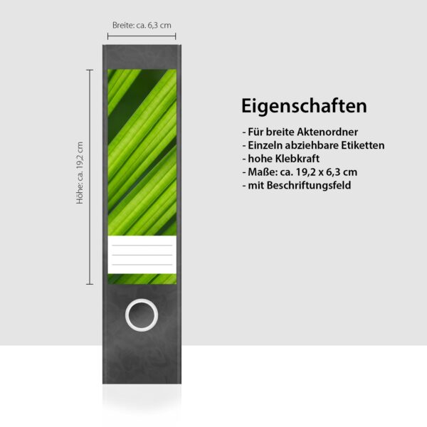 Etiketten für Ordner | Palmen Blätter | 4 breite Aufkleber für Ordnerrücken | Selbstklebende Design Ordneretiketten Rückenschilder