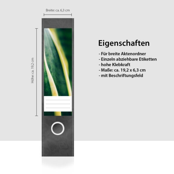 Etiketten für Ordner | Sukkulenten | 4 breite Aufkleber für Ordnerrücken | Selbstklebende Design Ordneretiketten Rückenschilder