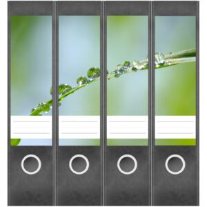 Etiketten für Ordner | Tropfen auf Blättern 2 | 4 breite Aufkleber für Ordnerrücken | Selbstklebende Design Ordneretiketten Rückenschilder