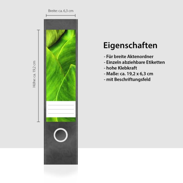 Etiketten für Ordner | Leuchtende Blätter | 4 breite Aufkleber für Ordnerrücken | Selbstklebende Design Ordneretiketten Rückenschilder