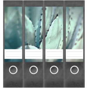 Etiketten für Ordner | Aloe Vera | 4 breite Aufkleber für Ordnerrücken | Selbstklebende Design Ordneretiketten Rückenschilder