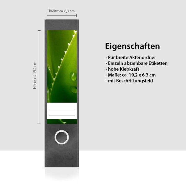 Etiketten für Ordner | Kakteen Grün | 4 breite Aufkleber für Ordnerrücken | Selbstklebende Design Ordneretiketten Rückenschilder