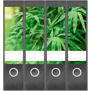 Etiketten für Ordner | Bambus Blätter | 4 breite Aufkleber für Ordnerrücken | Selbstklebende Design Ordneretiketten Rückenschilder
