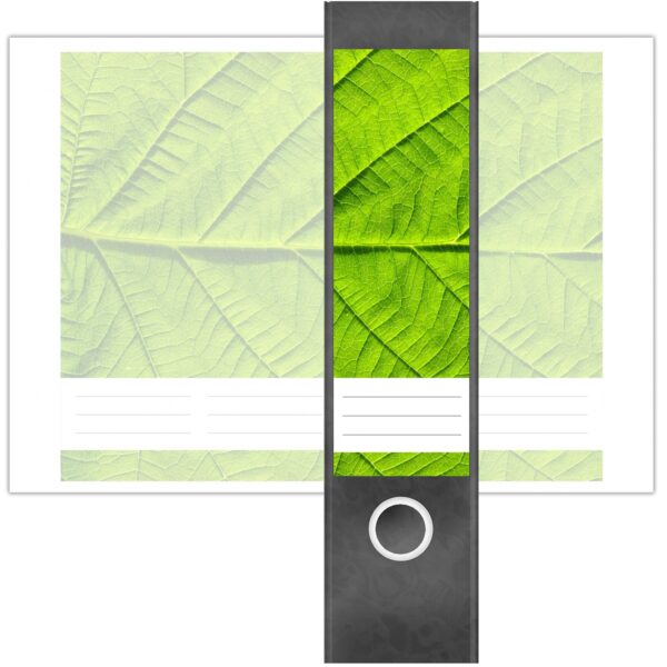 Etiketten für Ordner | Makro Blatt | 4 breite Aufkleber für Ordnerrücken | Selbstklebende Design Ordneretiketten Rückenschilder