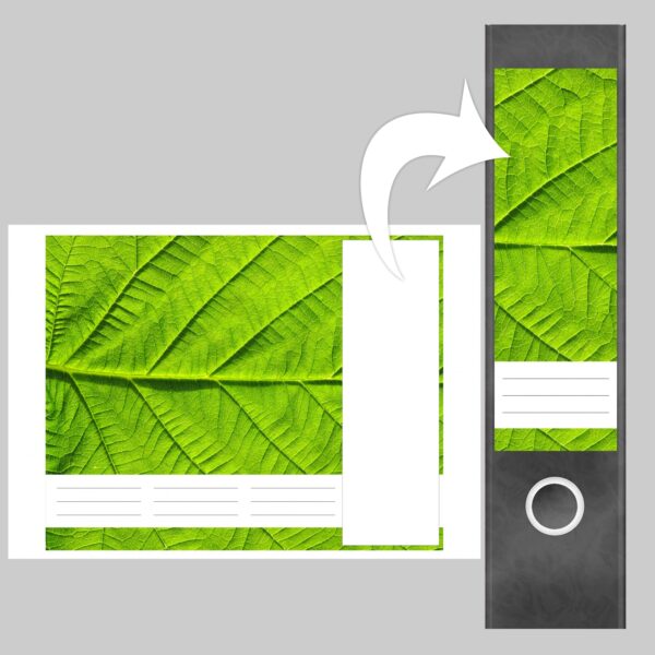 Etiketten für Ordner | Makro Blatt | 4 breite Aufkleber für Ordnerrücken | Selbstklebende Design Ordneretiketten Rückenschilder