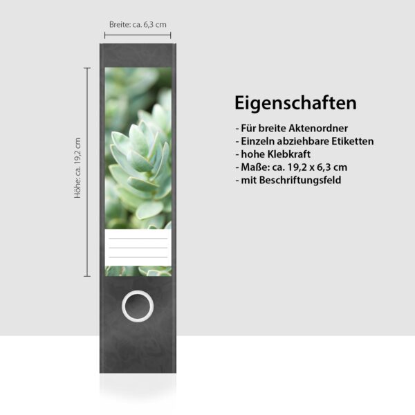 Etiketten für Ordner | Sukkulenten 2 | 4 breite Aufkleber für Ordnerrücken | Selbstklebende Design Ordneretiketten Rückenschilder