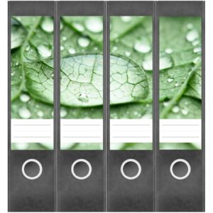 Etiketten für Ordner | Tropfen auf Blättern 2 | 4 breite Aufkleber für Ordnerrücken | Selbstklebende Design Ordneretiketten Rückenschilder