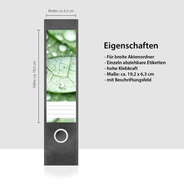 Etiketten für Ordner | Tropfen auf Blättern 2 | 4 breite Aufkleber für Ordnerrücken | Selbstklebende Design Ordneretiketten Rückenschilder