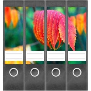 Etiketten für Ordner | Rote Blätter 2 | 4 breite Aufkleber für Ordnerrücken | Selbstklebende Design Ordneretiketten Rückenschilder
