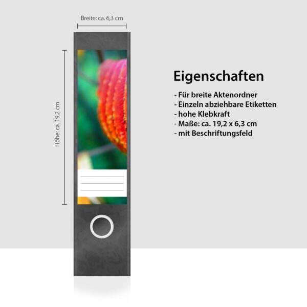 Etiketten für Ordner | Rote Blätter 2 | 4 breite Aufkleber für Ordnerrücken | Selbstklebende Design Ordneretiketten Rückenschilder