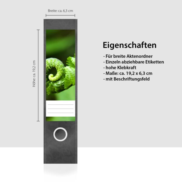 Etiketten für Ordner | Farn Grün | 4 breite Aufkleber für Ordnerrücken | Selbstklebende Design Ordneretiketten Rückenschilder