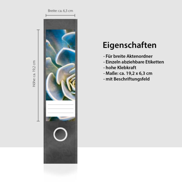 Etiketten für Ordner | Sukkulente Design Foto | 4 breite Aufkleber für Ordnerrücken | Selbstklebende Design Ordneretiketten Rückenschilder