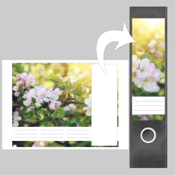 Etiketten für Ordner | Baum Blüte | 4 breite Aufkleber für Ordnerrücken | Selbstklebende Design Ordneretiketten Rückenschilder