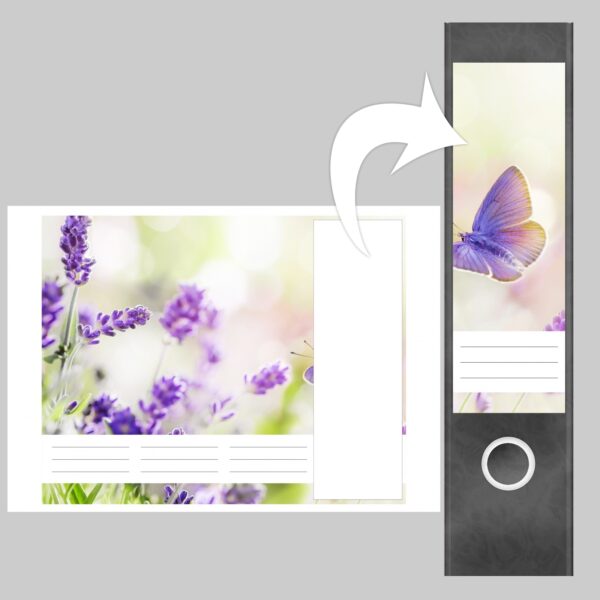Etiketten für Ordner | Lavendel | 4 breite Aufkleber für Ordnerrücken | Selbstklebende Design Ordneretiketten Rückenschilder