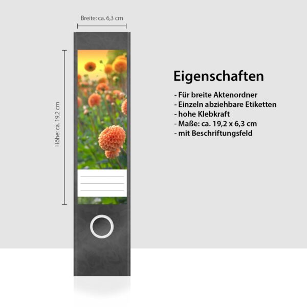 Etiketten für Ordner | Dahlien | 4 breite Aufkleber für Ordnerrücken | Selbstklebende Design Ordneretiketten Rückenschilder