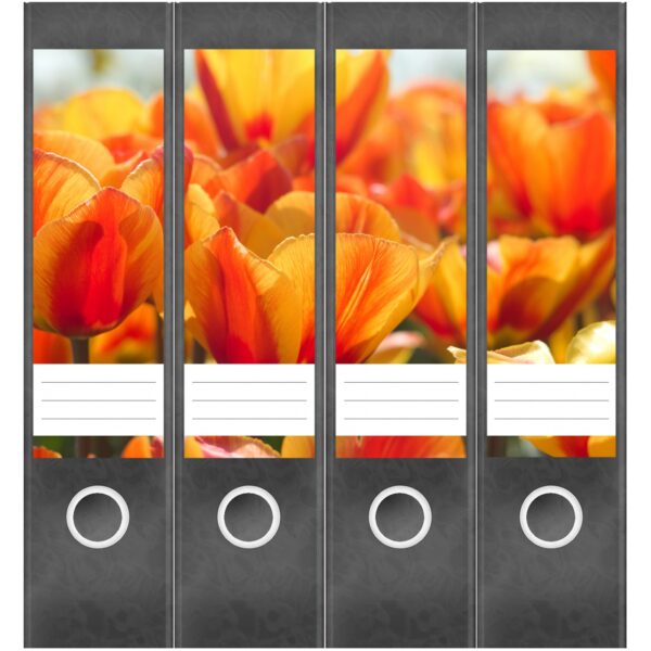 Etiketten für Ordner | Tulpen Orange | 4 breite Aufkleber für Ordnerrücken | Selbstklebende Design Ordneretiketten Rückenschilder