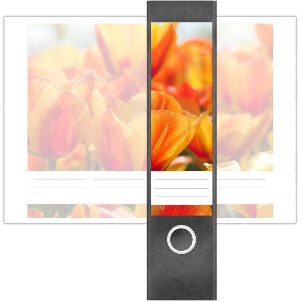 Etiketten für Ordner | Tulpen Orange | 4 breite Aufkleber für Ordnerrücken | Selbstklebende Design Ordneretiketten Rückenschilder