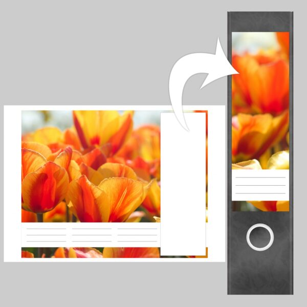 Etiketten für Ordner | Tulpen Orange | 4 breite Aufkleber für Ordnerrücken | Selbstklebende Design Ordneretiketten Rückenschilder