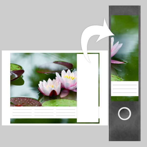 Etiketten für Ordner | Seerose | 4 breite Aufkleber für Ordnerrücken | Selbstklebende Design Ordneretiketten Rückenschilder