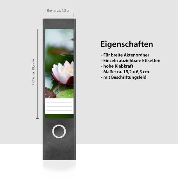 Etiketten für Ordner | Seerose | 4 breite Aufkleber für Ordnerrücken | Selbstklebende Design Ordneretiketten Rückenschilder