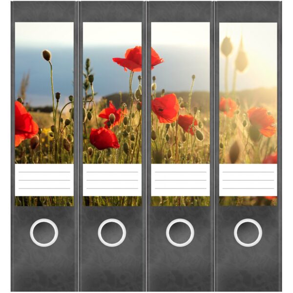 Etiketten für Ordner | Mohn Feld | 4 breite Aufkleber für Ordnerrücken | Selbstklebende Design Ordneretiketten Rückenschilder