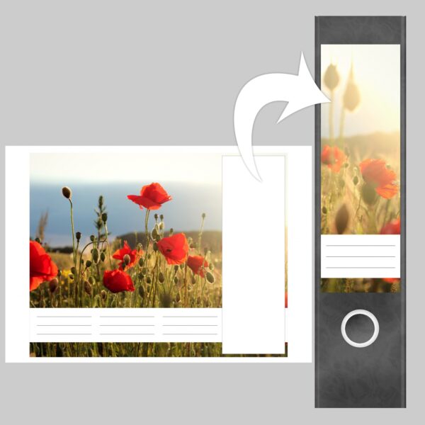 Etiketten für Ordner | Mohn Feld | 4 breite Aufkleber für Ordnerrücken | Selbstklebende Design Ordneretiketten Rückenschilder