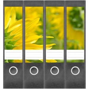 Etiketten für Ordner | Sonnenblume | 4 breite Aufkleber für Ordnerrücken | Selbstklebende Design Ordneretiketten Rückenschilder