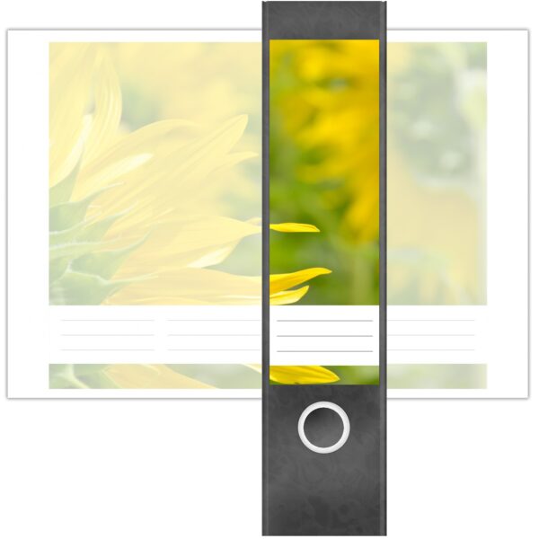 Etiketten für Ordner | Sonnenblume | 4 breite Aufkleber für Ordnerrücken | Selbstklebende Design Ordneretiketten Rückenschilder