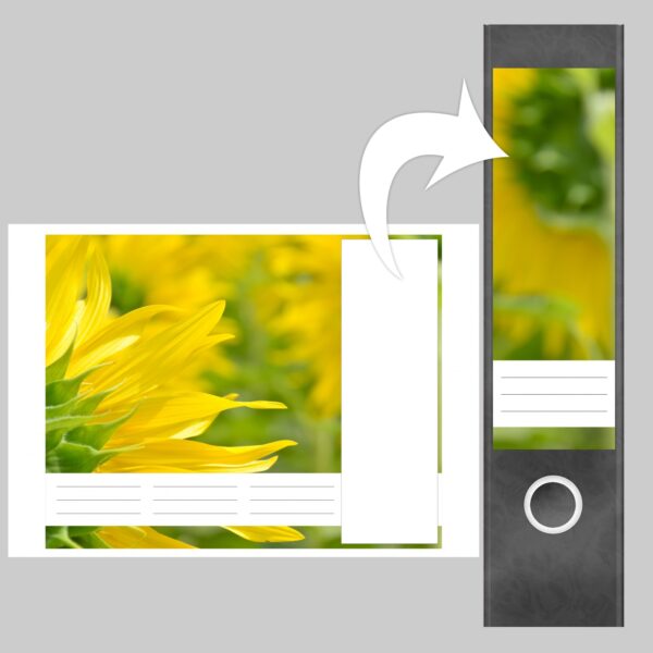 Etiketten für Ordner | Sonnenblume | 4 breite Aufkleber für Ordnerrücken | Selbstklebende Design Ordneretiketten Rückenschilder