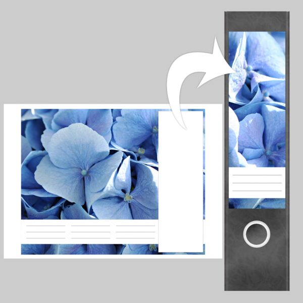 Etiketten für Ordner | Hortensie blau | 4 breite Aufkleber für Ordnerrücken | Selbstklebende Design Ordneretiketten Rückenschilder