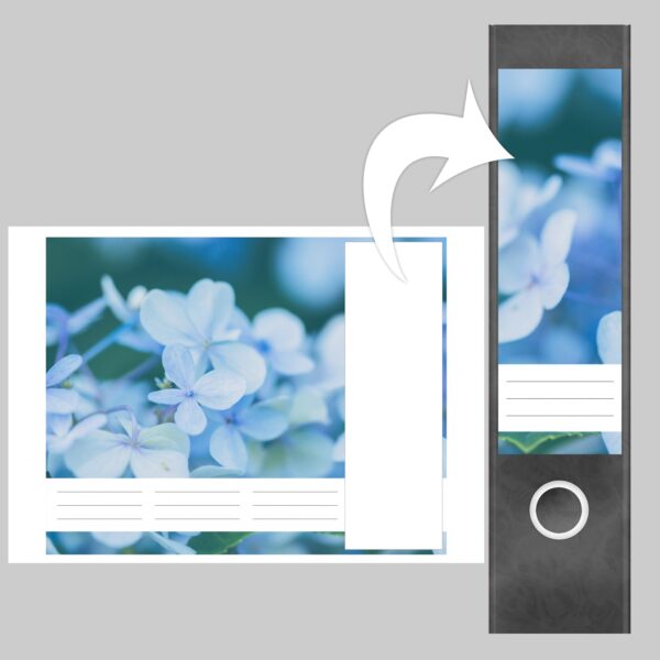 Etiketten für Ordner | Hortensien blau | 4 breite Aufkleber für Ordnerrücken | Selbstklebende Design Ordneretiketten Rückenschilder