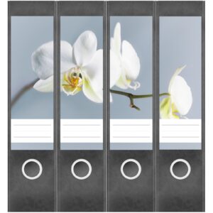 Etiketten für Ordner | Orchidee | 4 breite Aufkleber für Ordnerrücken | Selbstklebende Design Ordneretiketten Rückenschilder