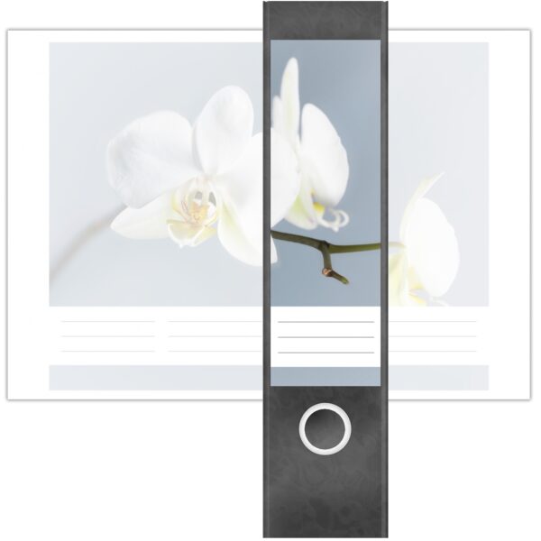 Etiketten für Ordner | Orchidee | 4 breite Aufkleber für Ordnerrücken | Selbstklebende Design Ordneretiketten Rückenschilder