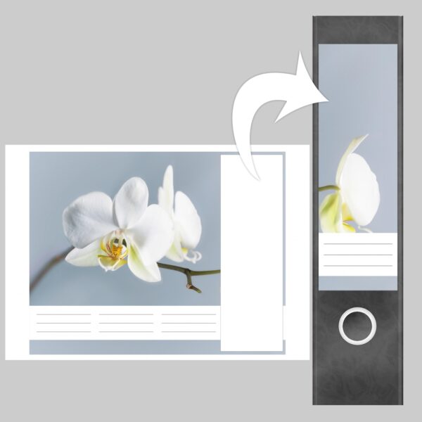 Etiketten für Ordner | Orchidee | 4 breite Aufkleber für Ordnerrücken | Selbstklebende Design Ordneretiketten Rückenschilder