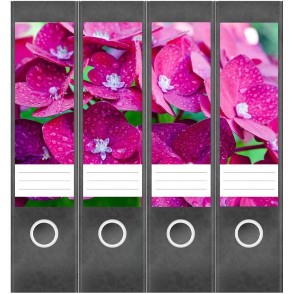 Etiketten für Ordner | Hortensie pink | 4 breite Aufkleber für Ordnerrücken | Selbstklebende Design Ordneretiketten Rückenschilder